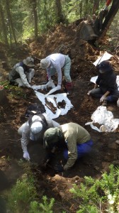 クラスノヤルスク地方 での遺骨収集