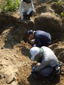 ハバロフスク地方での遺骨収集