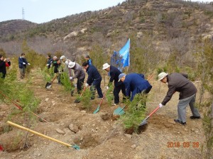 万里の長城での植林活動