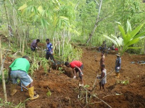 サラワケット山系バワンで日本兵埋葬地を試掘