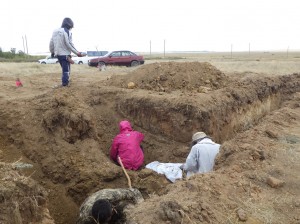 カラカンダ郊外のサラニイ村で、氷点下に近い厳しい状況の中、収集作業に従事する団員