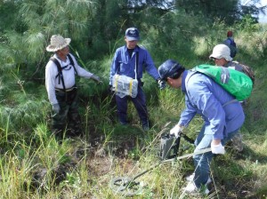 地中を入念に探査する団員=グアム島で