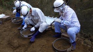 土砂の中から慎重に遺骨を探す団員